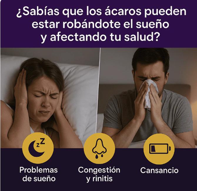 Hogar Sin Ácaros™ | Para quienes buscan un descanso más cómodo 😴